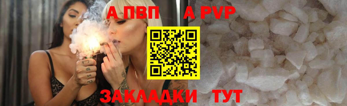 A PVP СК КРИС Бийск