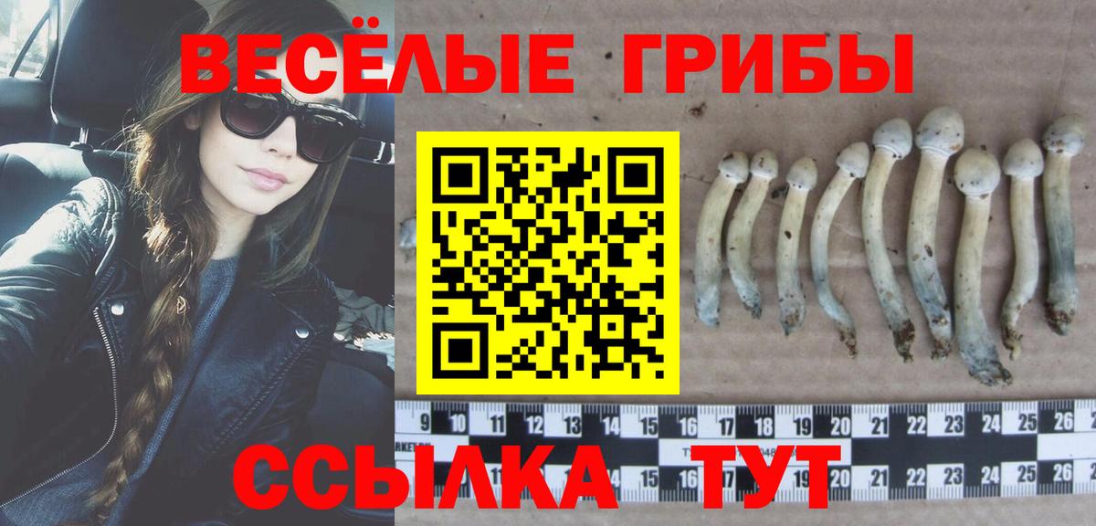 Галлюциногенные грибы прущие грибы  Галлюциногенные грибы Psilocybe  Бийск  Вход с VPN 