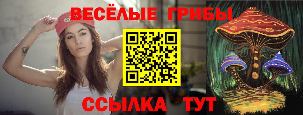 Галлюциногенные грибы мицелий Бийск